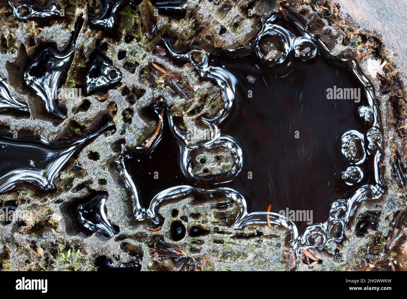 Naturaleza extraordinaria fotografías e imágenes de alta resolución - Alamy