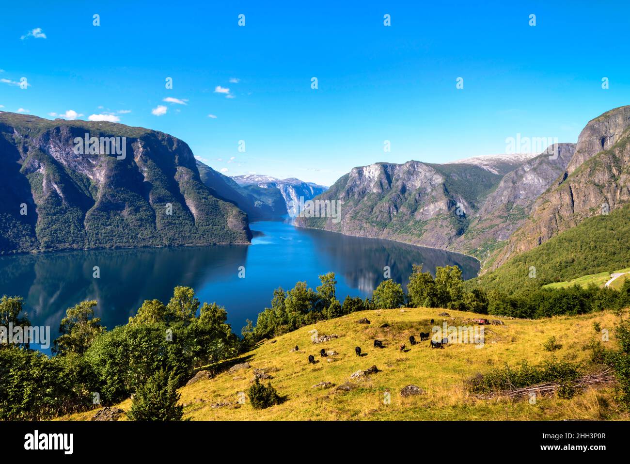 Vista panorámica de Aurlandsfjorden, Vestland, Noruega Foto de stock