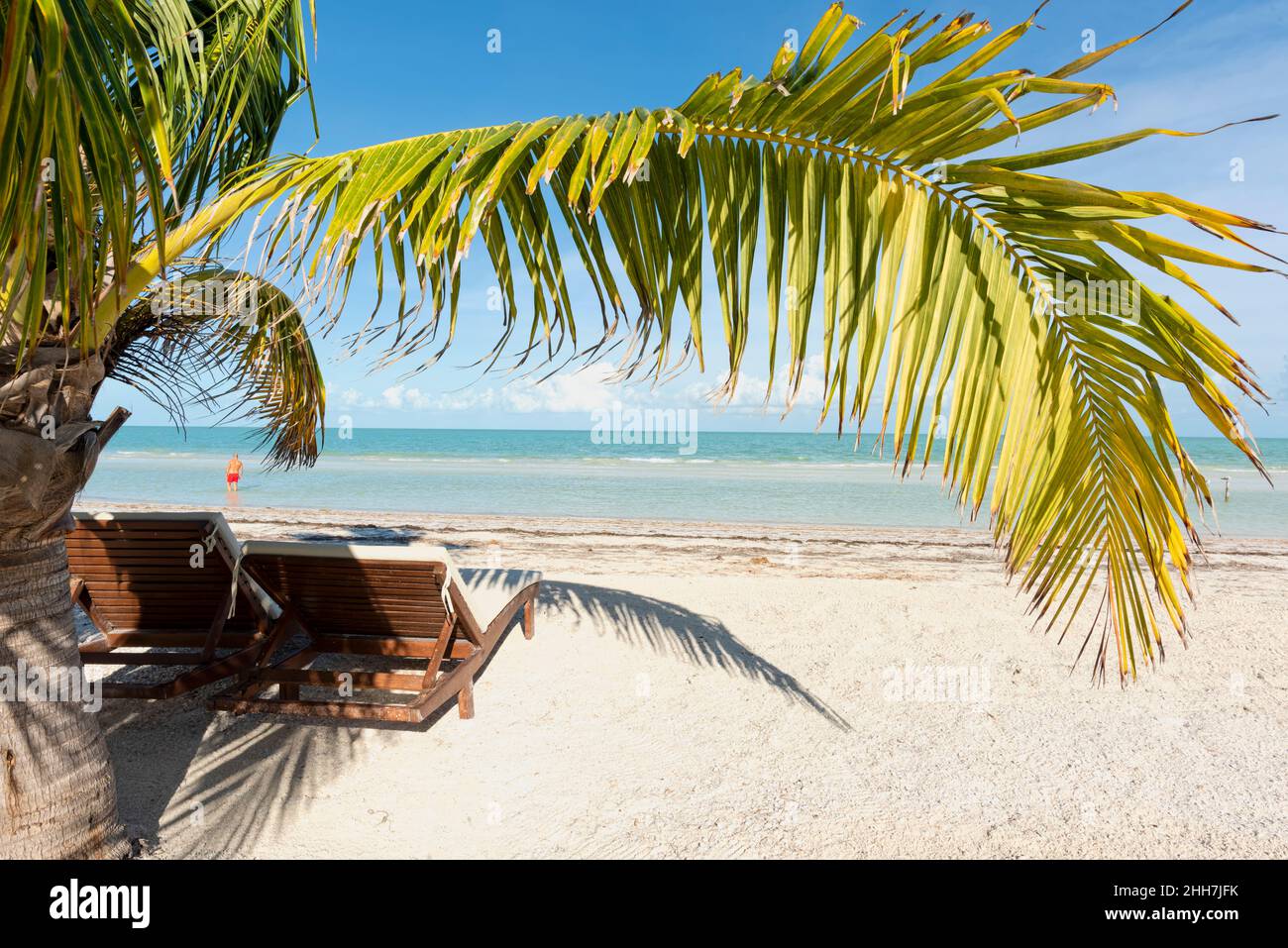 Sillas de playa y palmeras tropicales, un turista junto al mar - concepto de viaje y vacaciones. Isla Holbox México Foto de stock