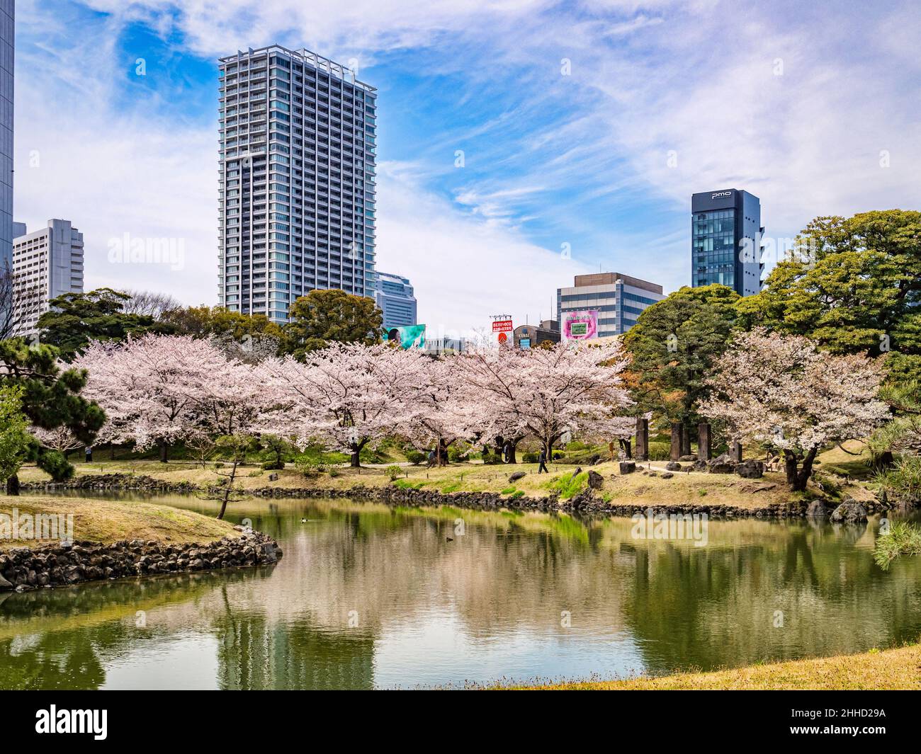 5 de abril de 2019: Tokio, Japón - Lago y flor de cerezo en los jardines Kyu-Shiba-rikyu, un jardín de estilo tradicional en el centro de Tokio. Foto de stock