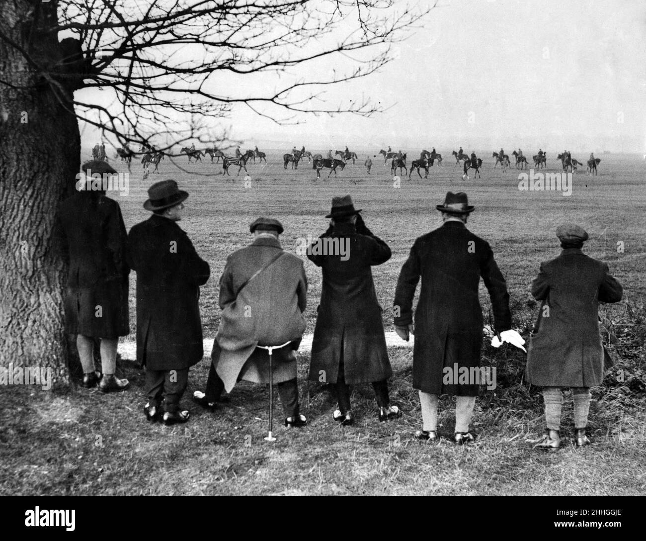 Ver ejercicio temprano en la mañana en el Heath, Newmarket. 4th de marzo de 1930. Foto de stock