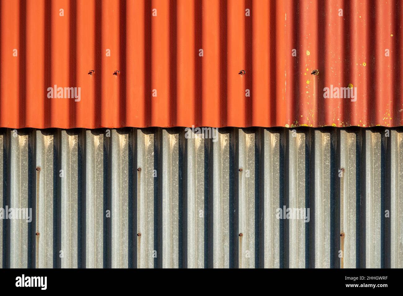 Paneles de hierro corrugado superpuestos de dos colores en la pared del edificio de la granja Foto de stock