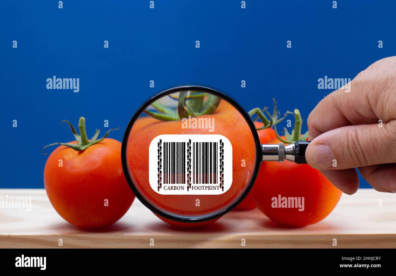 Etiqueta de código de barras de huella de carbono en tomate ampliada por lente de aumento, impacto medioambiental de la etiqueta de sostenibilidad del cliente de alimentos en los alimentos Foto de stock