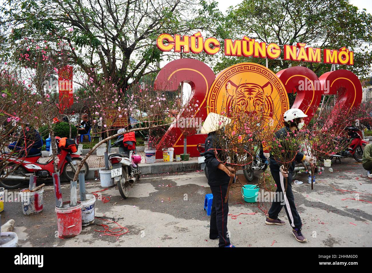 Hanoi Año Nuevo Lunar Foto de stock