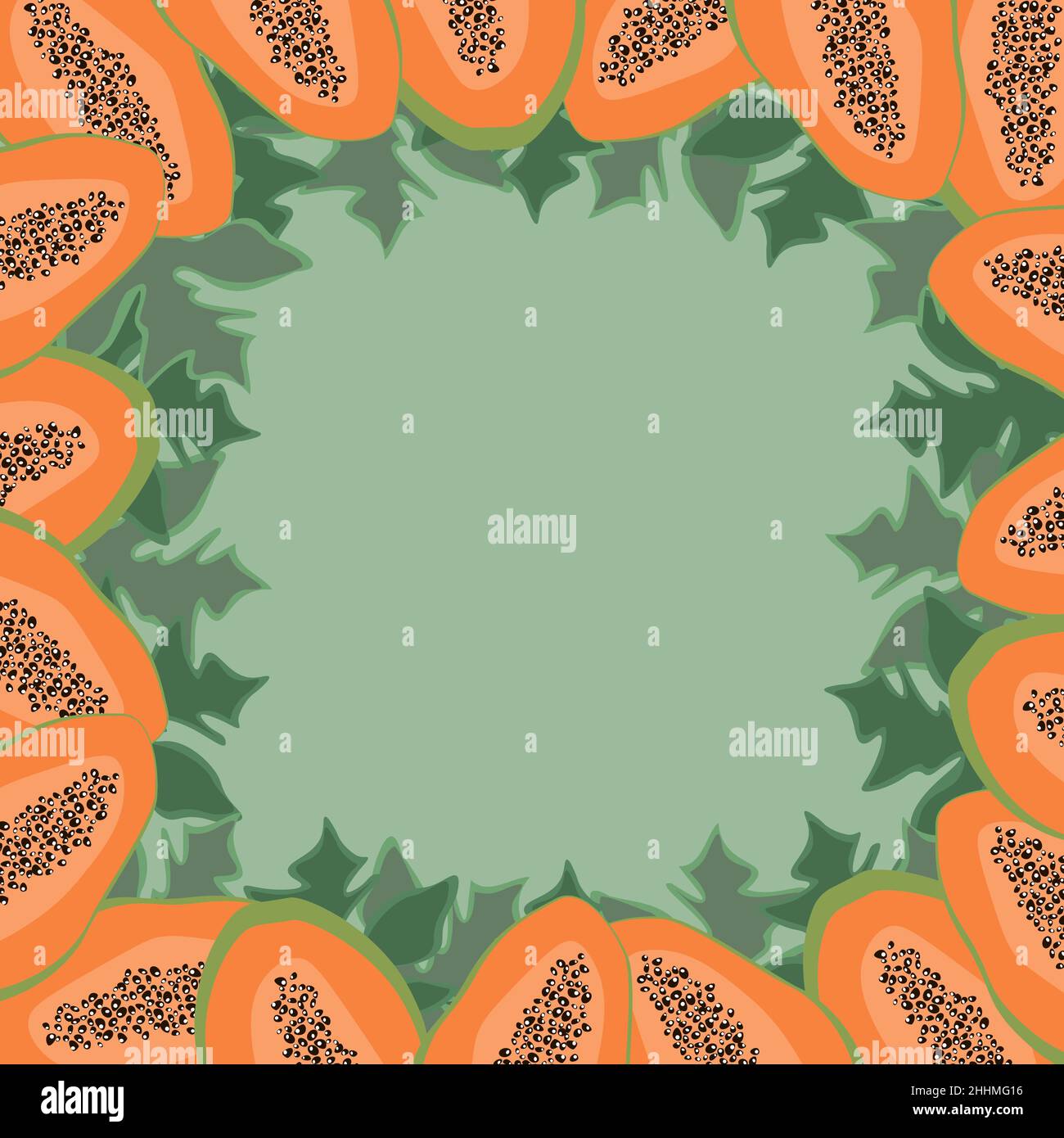 Hojas exóticas y papaya , recolectadas en una composición sobre un fondo blanco. Floral natural . Postal para su texto. Tarjeta de felicitación vectorial para su Ilustración del Vector