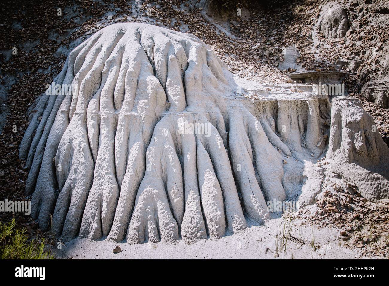 Estructuras rocosas texturizadas en el Parque Nacional Theodor Roosevelt, Dakota del Norte Foto de stock