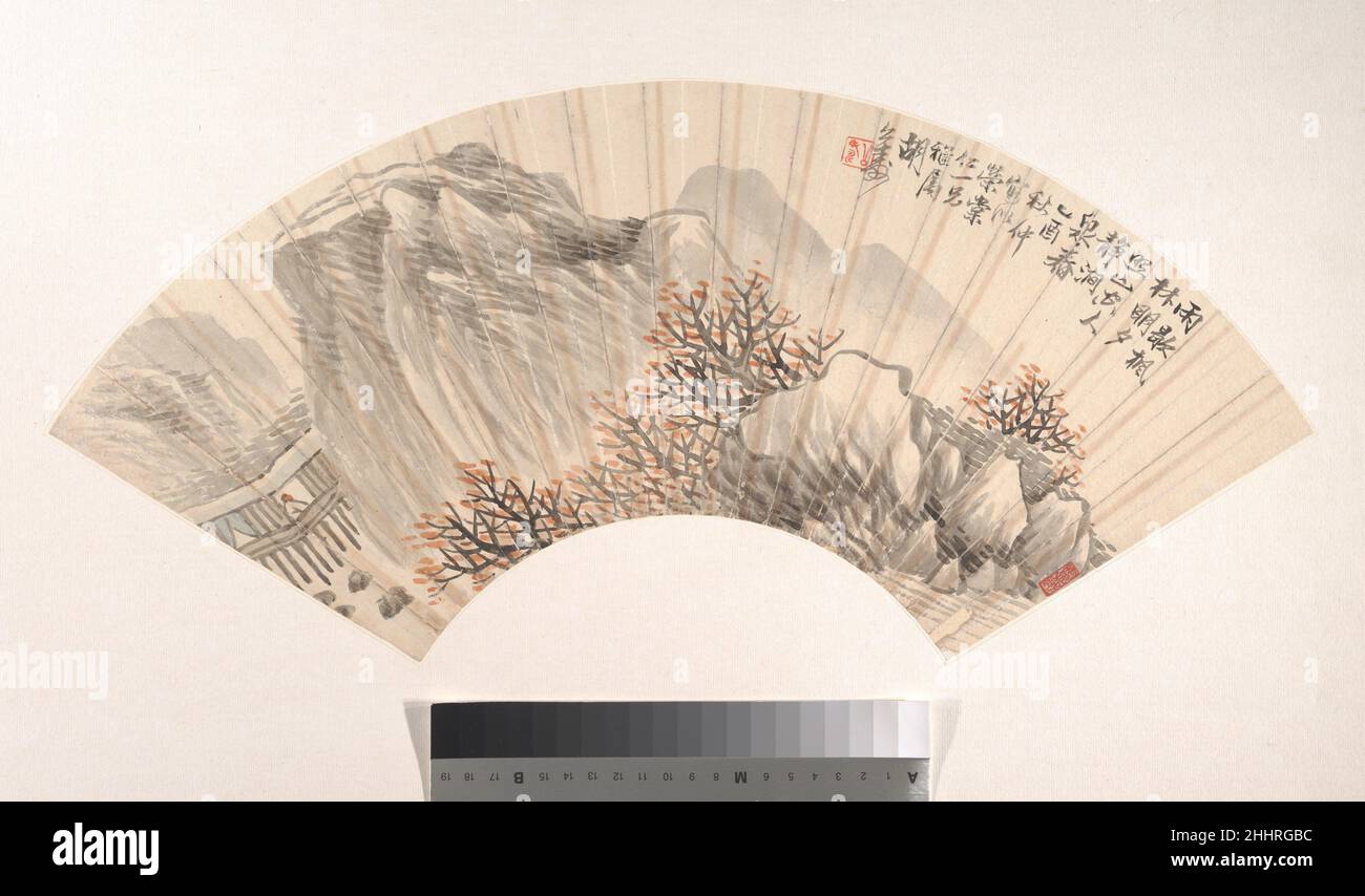 caribbean airlines bolsagage fees