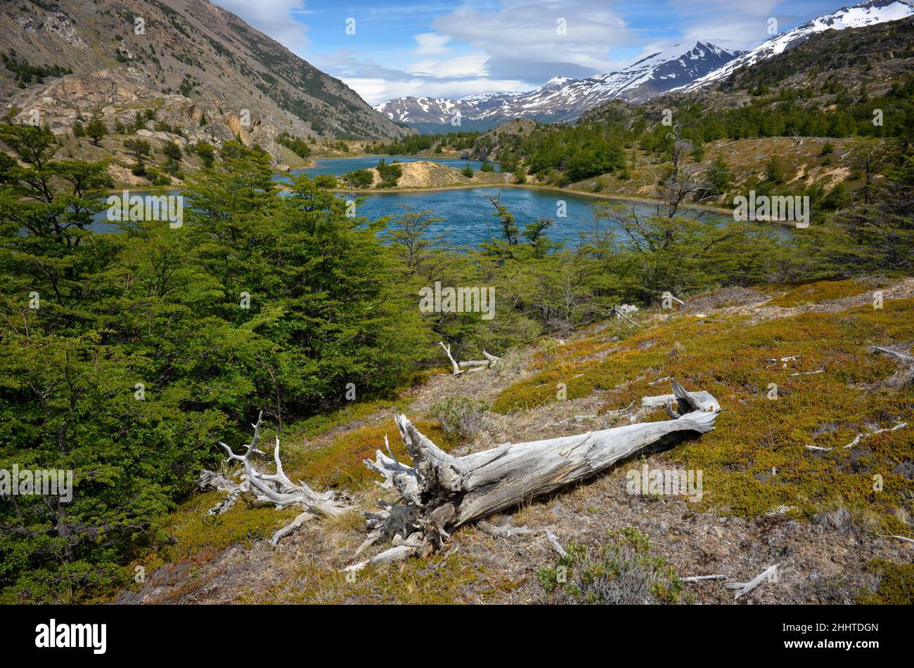 Naturaleza prístina con lagos y montañas en el parque nacional Perito Moreno, senderismo por el circuito de Azara, patagonia, Argentina Foto de stock