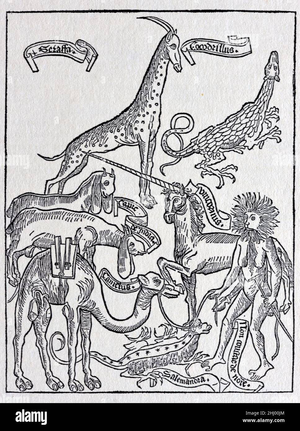 Fantásticas bestias, fabulosas criaturas y animales míticos, incluyendo un unicornio, supuestamente atestiguado por Bernhard von Breidenbach (1440-1497) en sus viajes a Tierra Santa en 1483-84. Grabado en madera publicado en Peregrinatio in Terrum Sanctam (1486). Impresión, grabado o ilustración de madera vintage Foto de stock