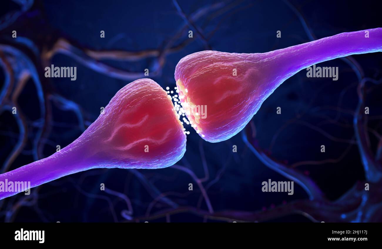Células Synapse y Neurone que envían señales químicas eléctricas . Ilustración 3D Foto de stock