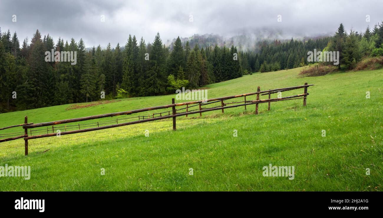 paisaje rural en un día nublado. campo agrícola detrás de la valla de madera. bosque de picea en la colina de hierba. nubes bajas que esconden el lejano m Foto de stock