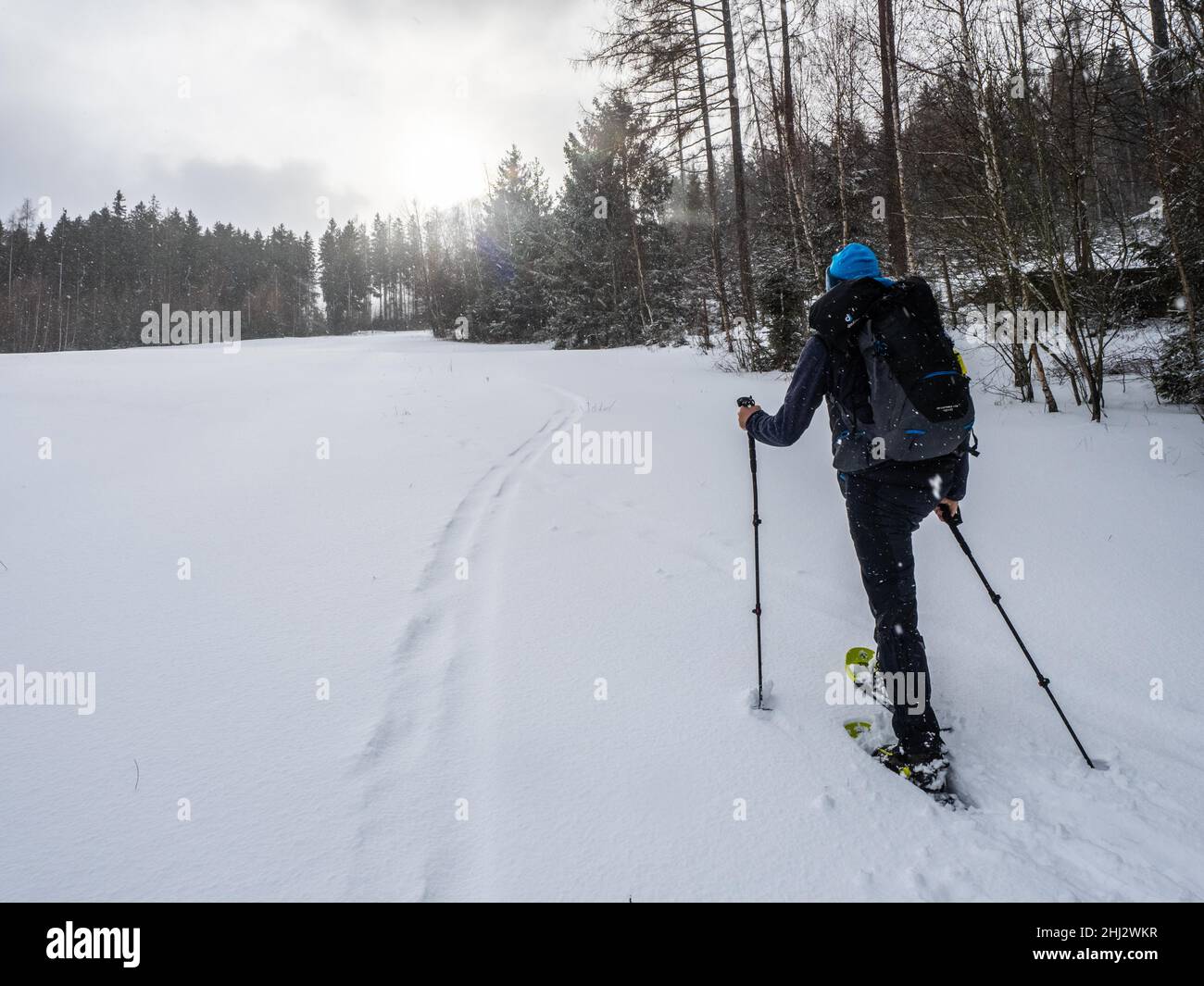 Excursionistas de raquetas de nieve durante la caída de nieve en