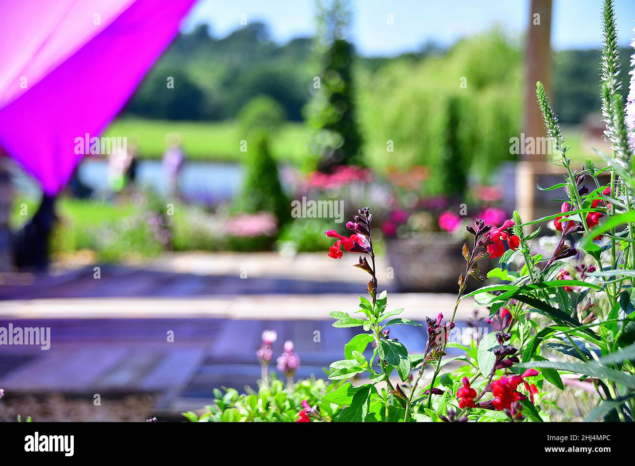 Un jardín del Reino Unido con una frontera de flores en Belvoir Flower and Garden Show con coloridas flores y árboles en el fondo Foto de stock