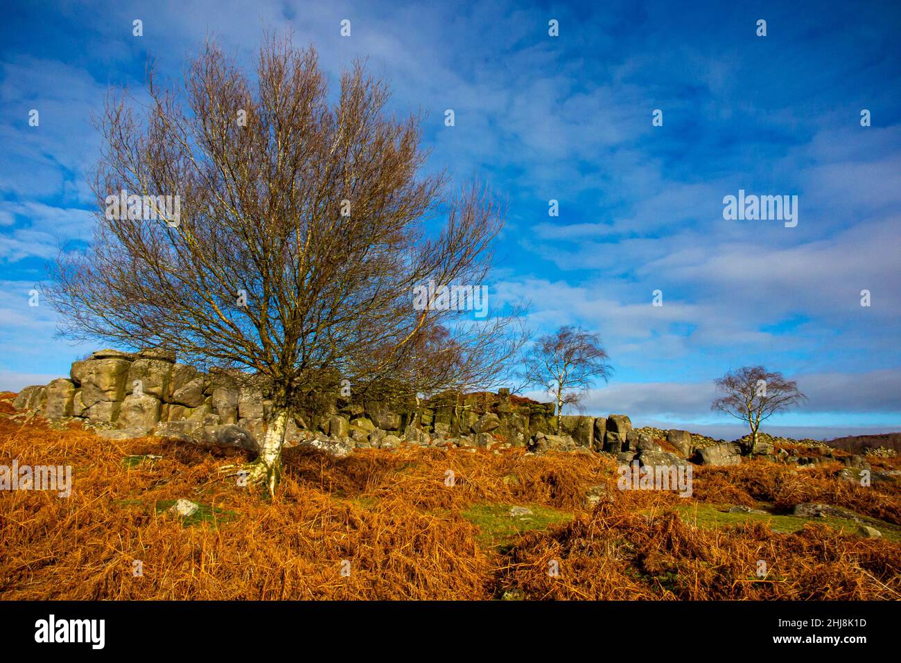 Vista de invierno con rocas y árboles en Gardom's Edge cerca Baslow en el Parque Nacional del Distrito de los Picos Derbyshire Inglaterra Reino Unido Foto de stock