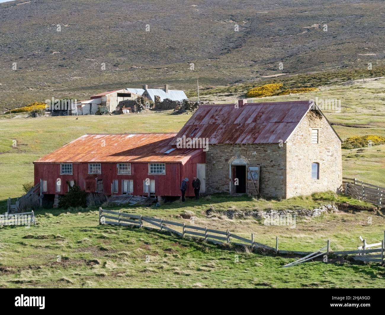 Vista del asentamiento de ovejas abandonado en 1992 en la isla de Keppel, Falklands. Foto de stock
