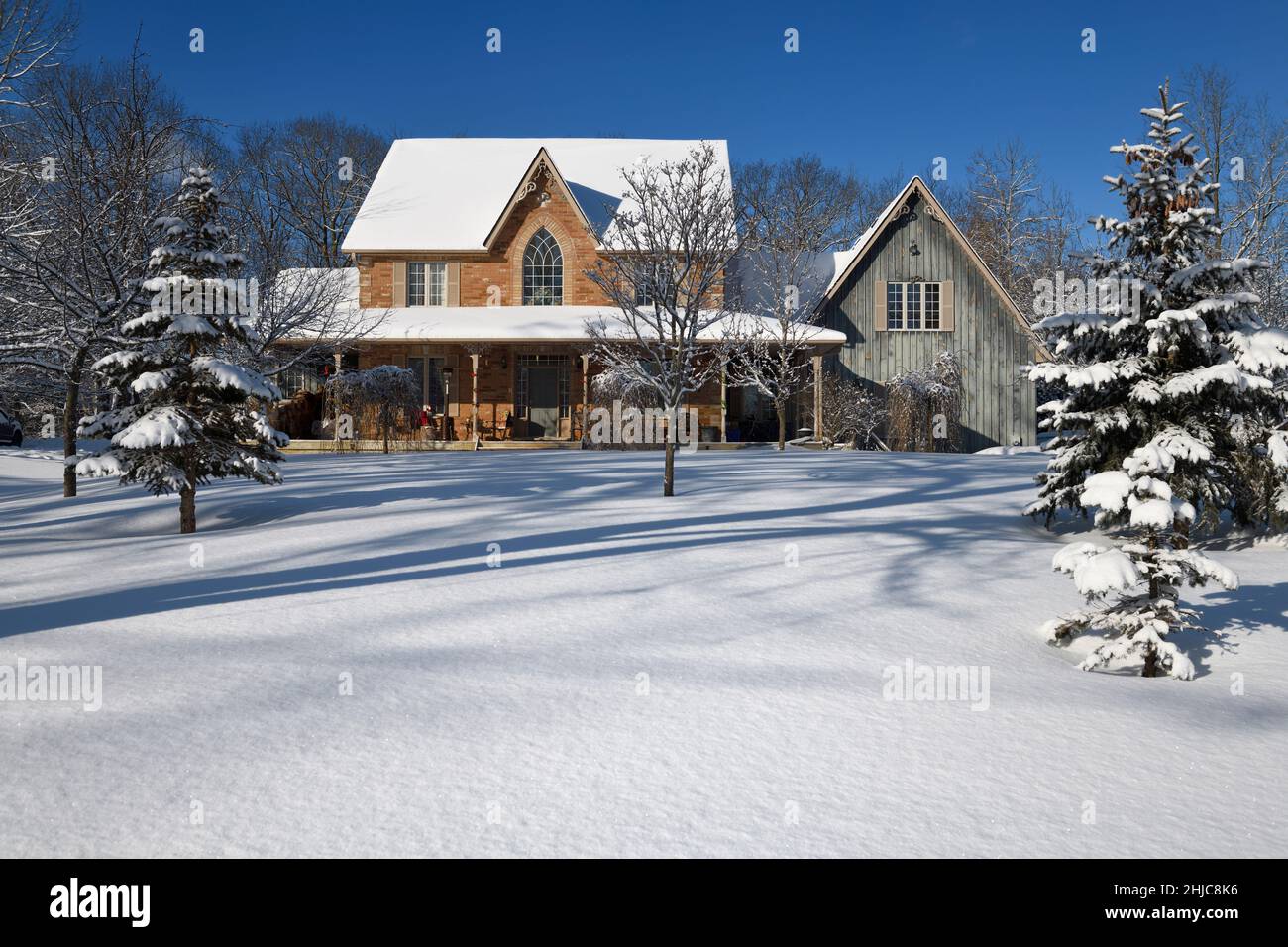 Jardín frente al sol y la nieve fresca de la casa de campo con árboles perennes en Ontario Canadá invierno con cielo azul Foto de stock