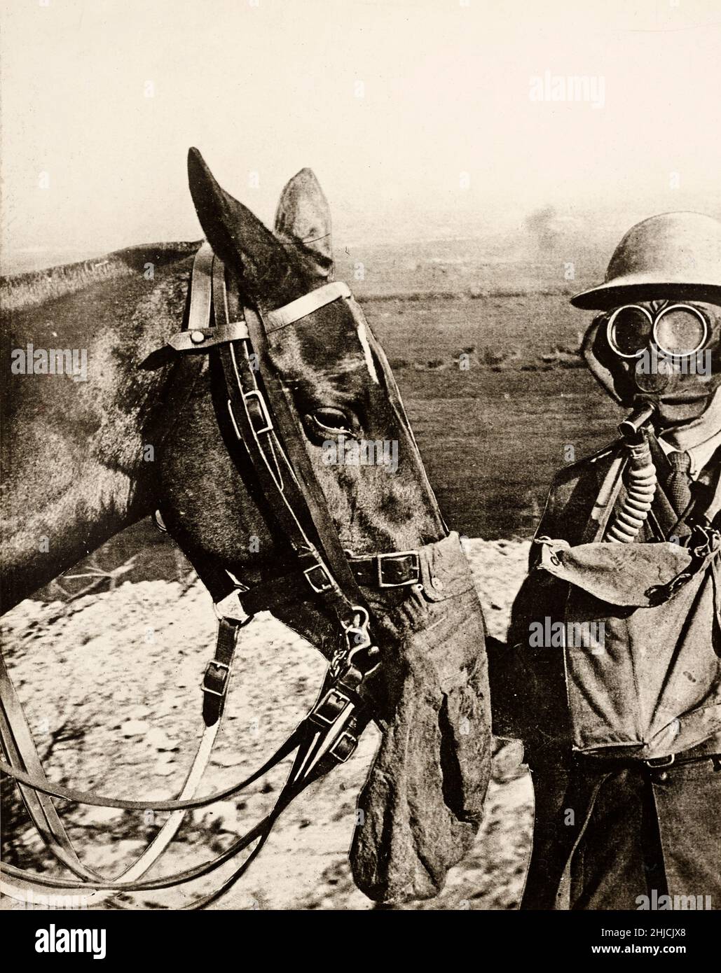 Máscara de gas para un caballo de la Primera Guerra Mundial, 1918. Foto de stock