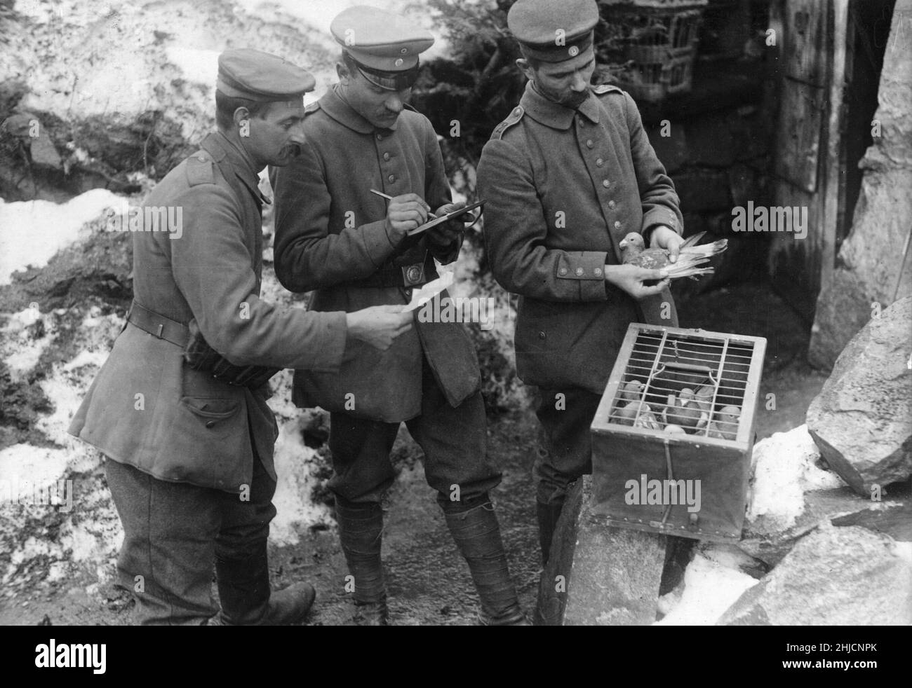 Personal del ejército alemán escribiendo un informe para ser entregado por el carrier pigeon, marzo de 1917. Foto de stock