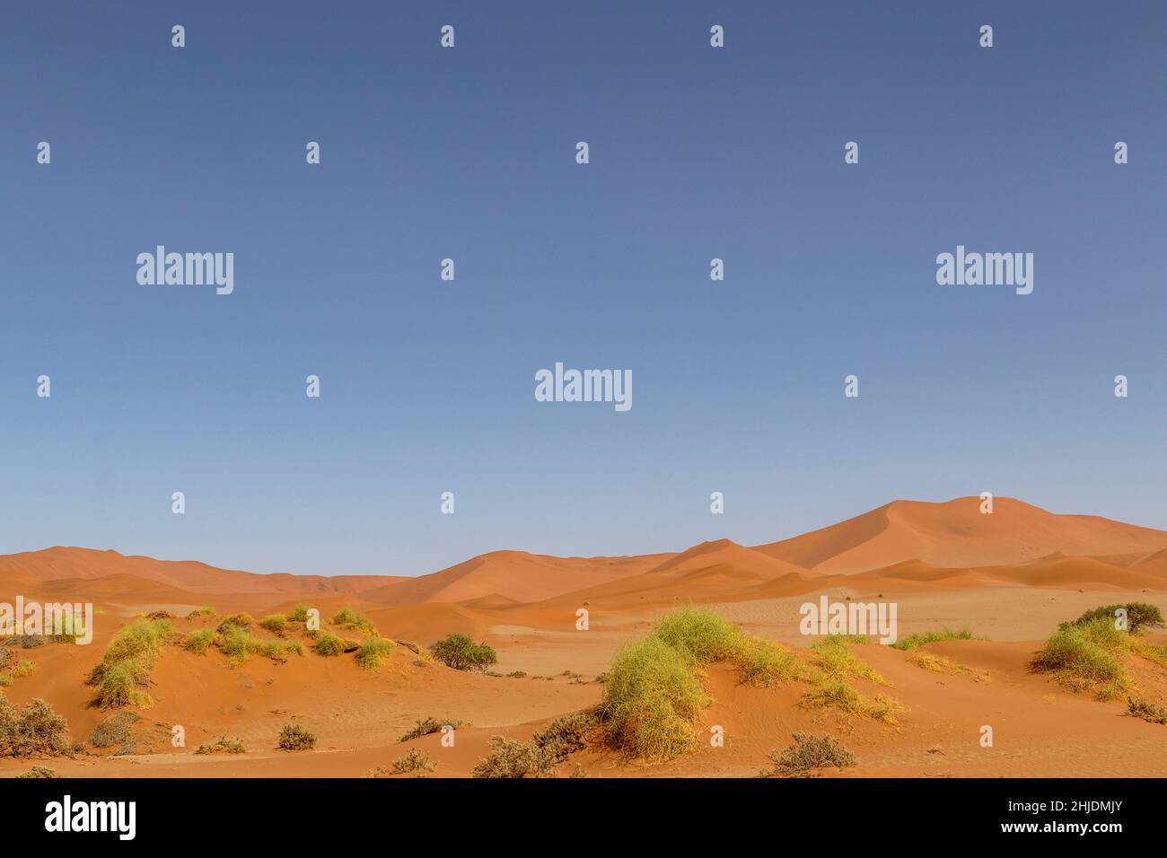 Paisaje desértico cerca de Sossusvlei, Namibia Foto de stock