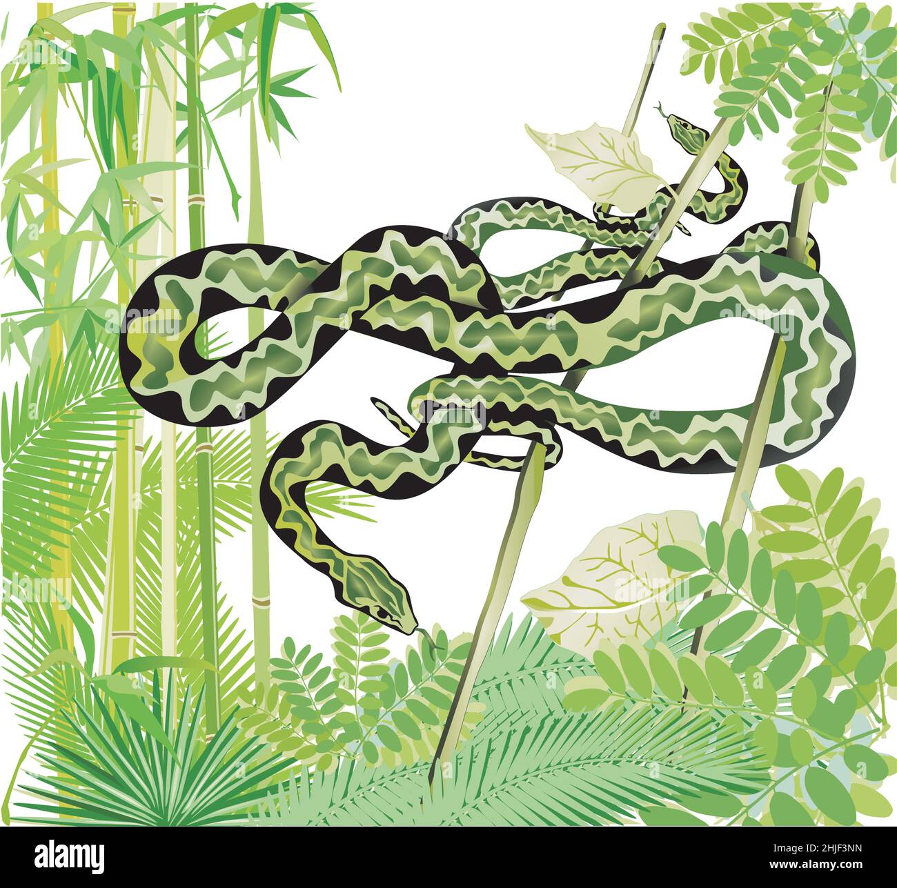 Dos serpientes en la selva, ilustración Ilustración del Vector