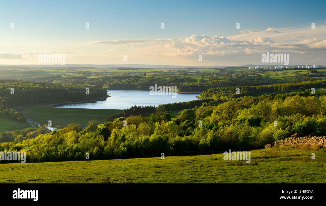 vista nocturna soleada de larga distancia (árboles en laderas, pared de piedra, aguas tranquilas del pantano de Swinsty, cielo azul) - Washburn Valley, Yorkshire, Inglaterra Reino Unido. Foto de stock