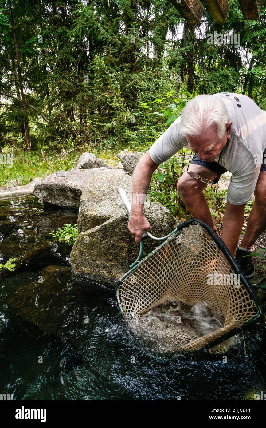 Los empleados de Idaho Fish and Game entregan el salmón de la cuenca del río Wenatchee Sockeye al 'lago alpino' de MKNC; los voluntarios de MKNC son instrumentales en la transferencia Foto de stock
