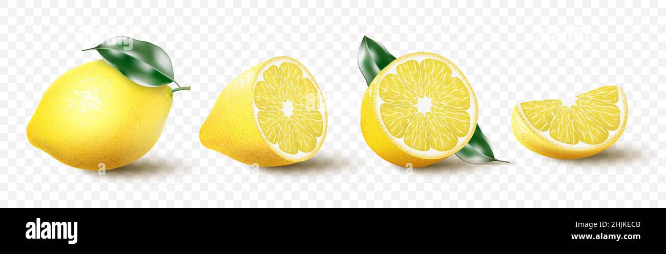 Juego de limón realista con hoja verde, entero y cortado, frutas frescas  agrias, cáscara amarilla brillante, limones vector 3D ilustración aislada  sobre fondo blanco Imagen Vector de stock - Alamy