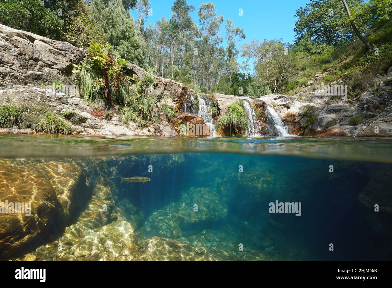Arroyo salvaje con pequeña cascada y agua clara, vista de dos niveles sobre y bajo el agua, paisaje fluvial, España, Galicia, Pozas de Bugalleira Foto de stock