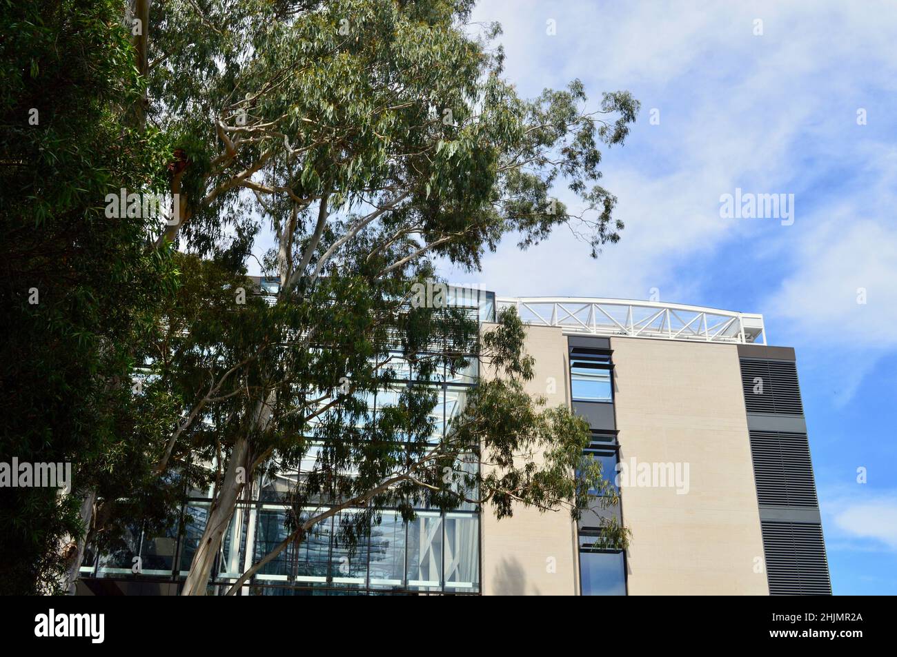 El edificio de la Facultad de Artes de la Universidad Macquarie en Sydney, Australia Foto de stock