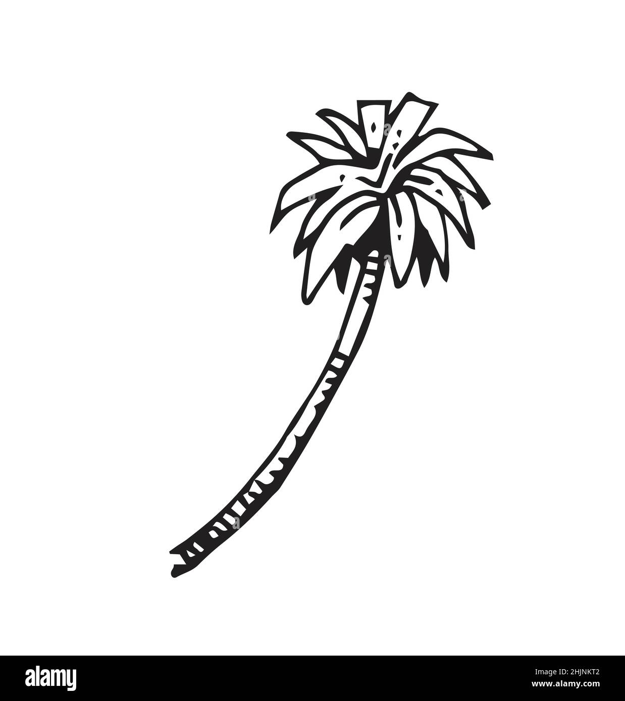 Palmera doblada hacia abajo. En estilo de contorno para grabado. Estilo sport rápido. Planta tropical. Dibujo a mano de plantas exóticas. Aislado sobre blanco Ilustración del Vector