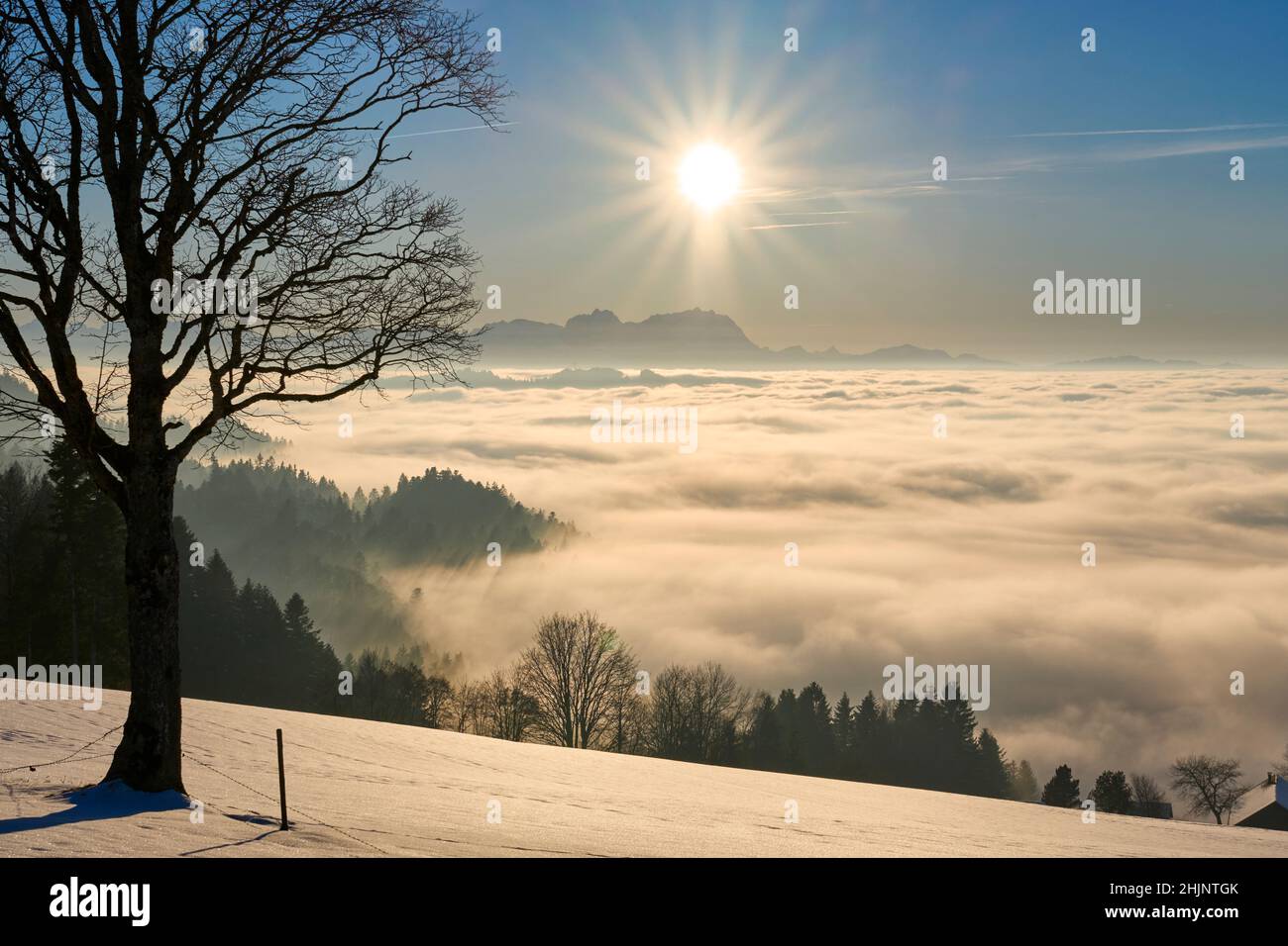 Puesta de sol en la nevada zona de Bregenzer Wald de Vorarlberg, Austria con espectaculares vistas sobre el Monte Sentis sobre un mar de niebla, Suiza, Sulzberg, Austr Foto de stock