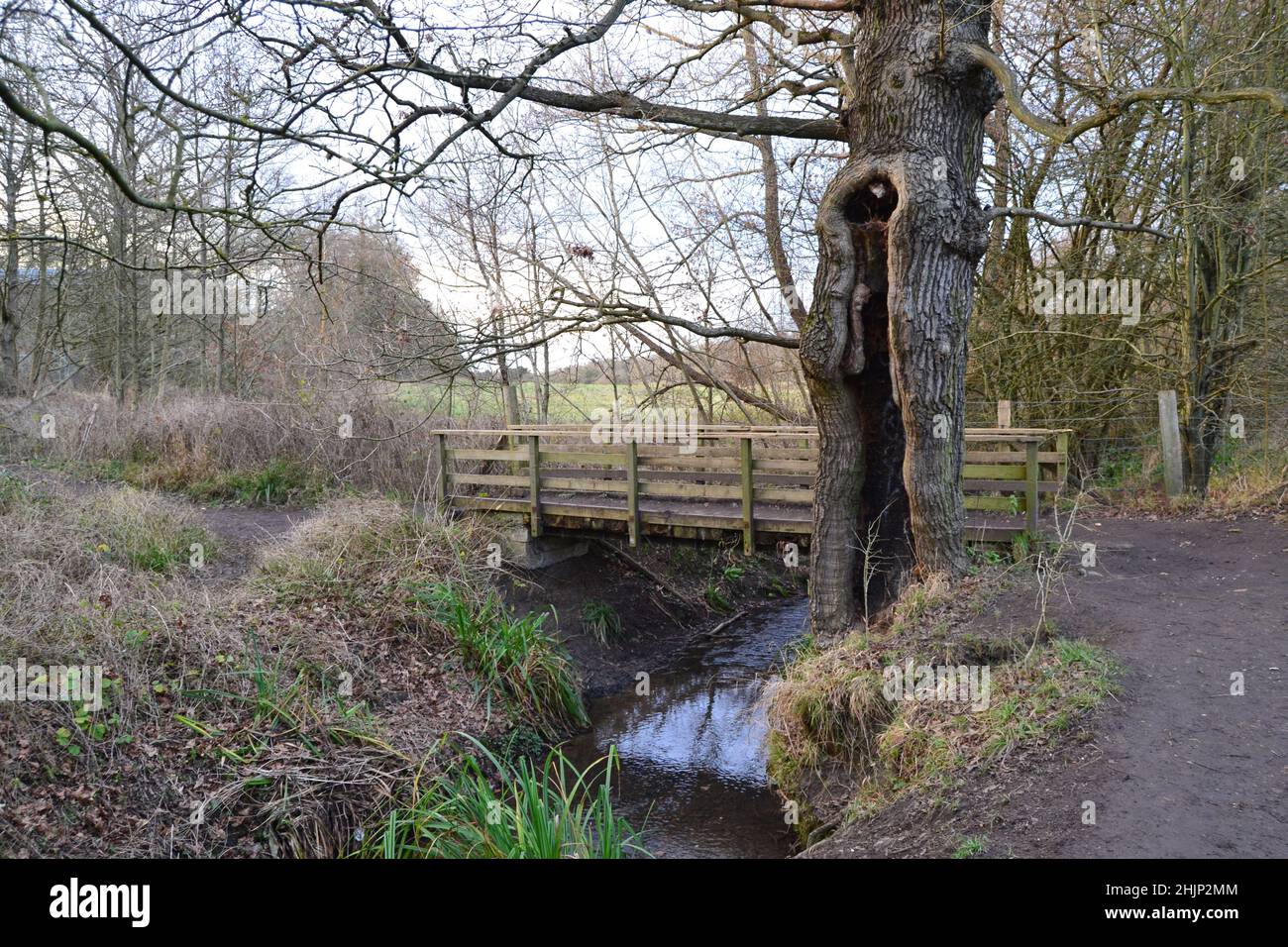 Locksbottom fotografías e imágenes de alta resolución Alamy