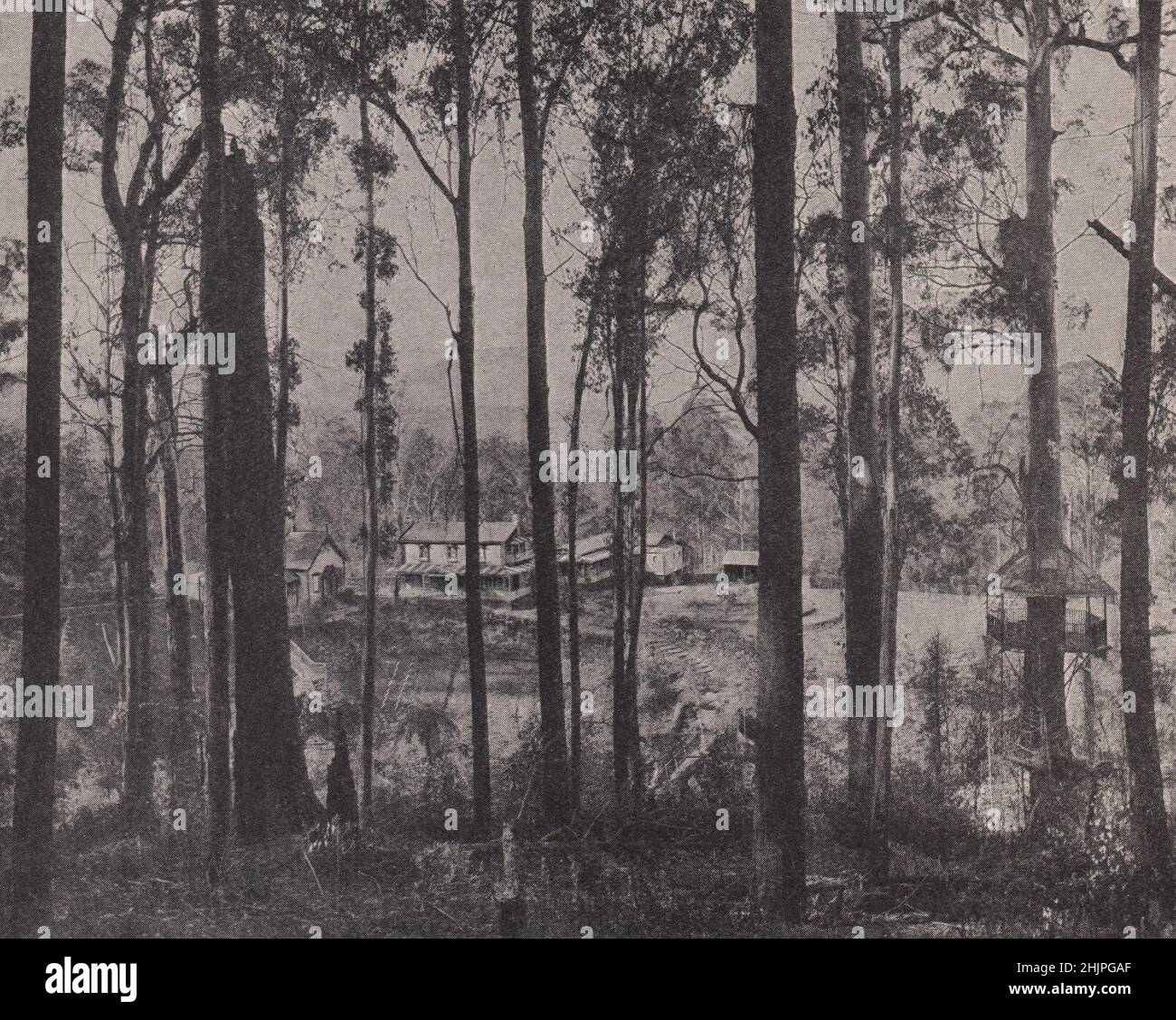Prosperidad firmemente establecida: Las casas en el valle. Australia (1923) Foto de stock