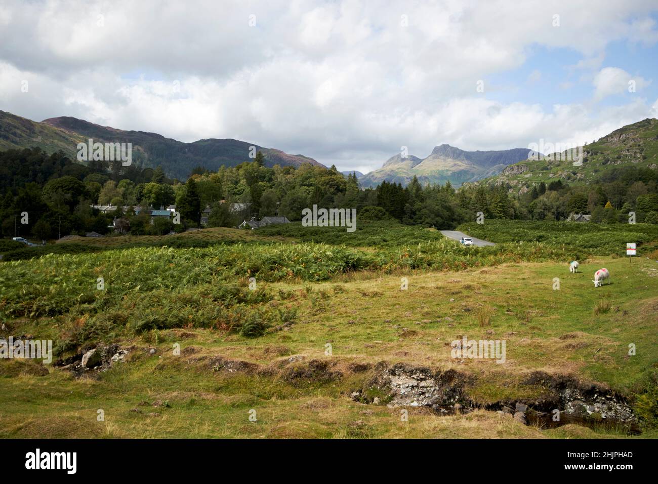 b5343 carretera a través del gran valle langbeck valle langdale, distrito de los lagos, cumbria, inglaterra, reino unido Foto de stock