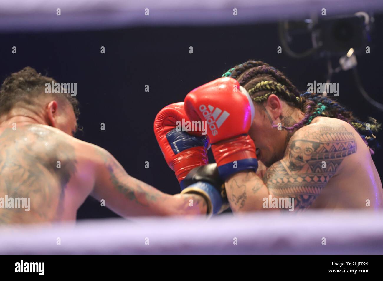 Balneario Camboriu, Santa Catarina, Brasil. 31st de Ene de 2022. Partido de  boxeo entre Whindersson Nunes y Popo Freitas. 31 de enero de 2022,  Balneario Camboriu, Santa Catarina, Brasil: Partido de boxeo