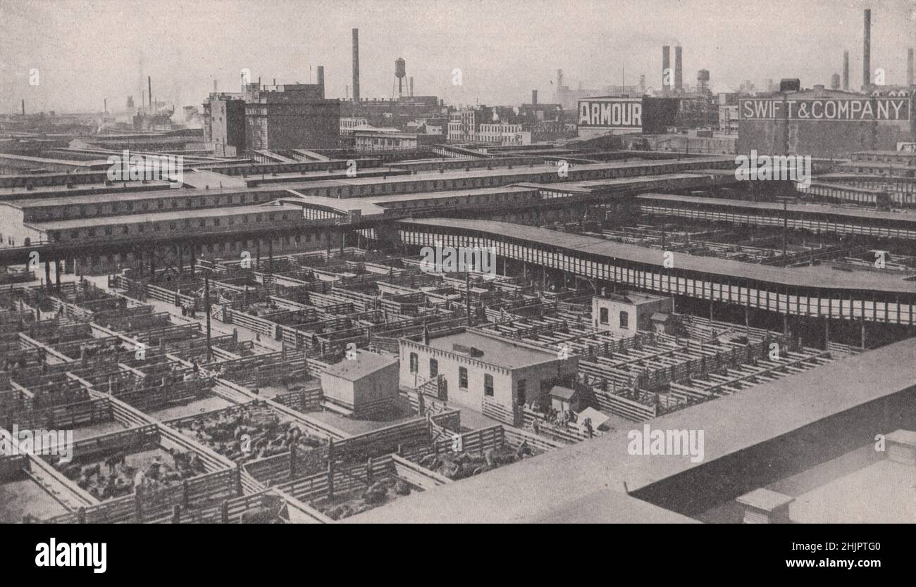 Enorme extensión de los almacenes de la Unión anillada con las chimeneas de las casas de embalaje. Illinois. Chicago (1923) Foto de stock