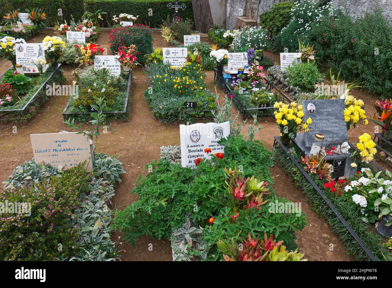 Flores en el cementerio de Monte Funchal Madeira Foto de stock