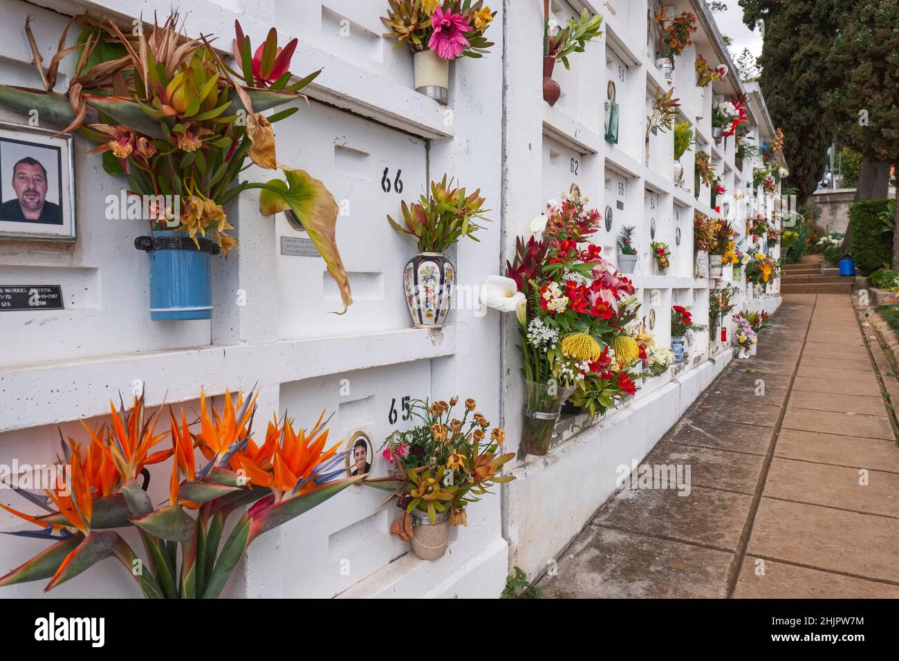 Flores en la pared Chalecos en el cementerio de Monte Funchal Madeira Foto de stock