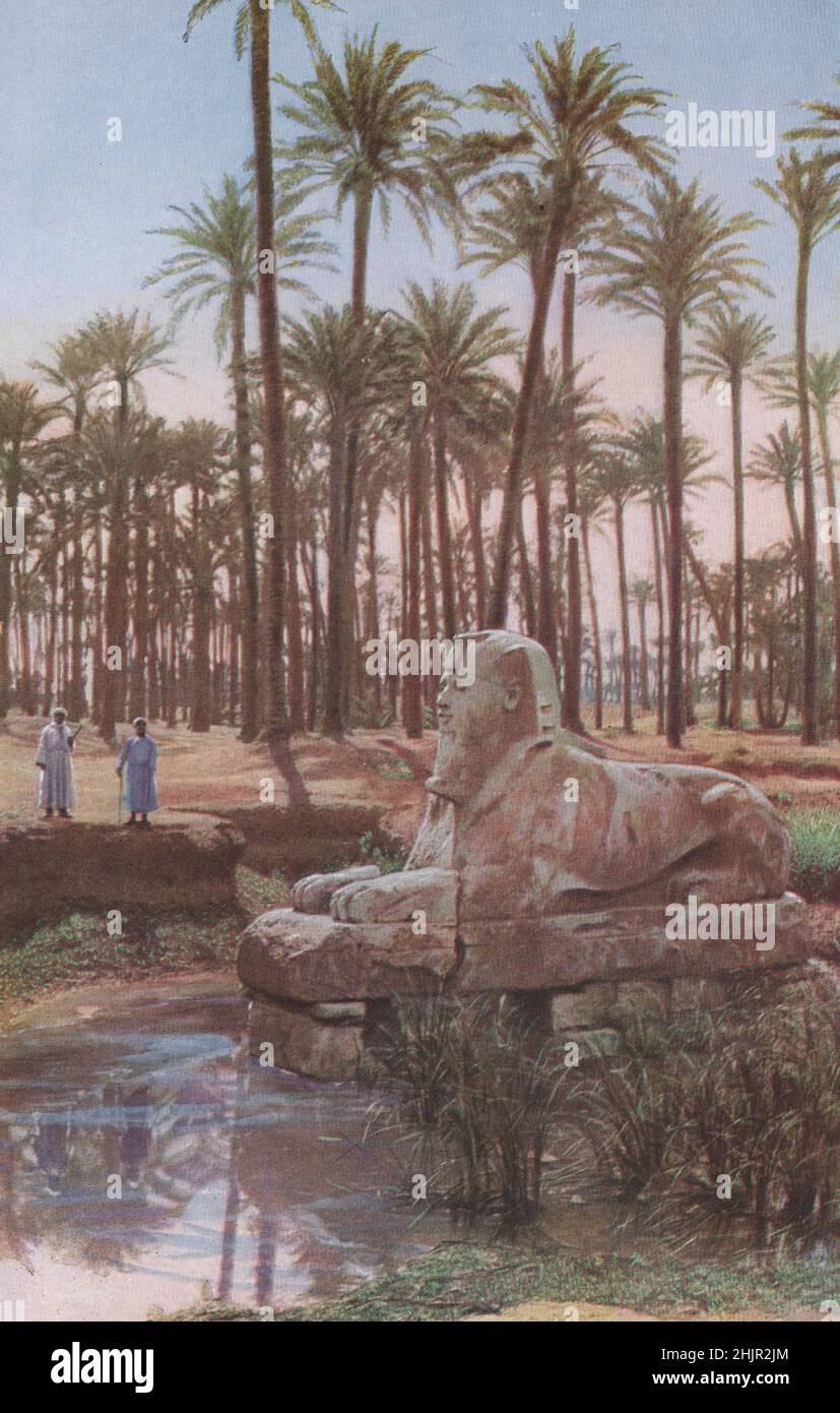 Este alabastro andro-sphinx fue descubierto en el sitio de Memphis en 1912, data de la época de Rameses II Egipto (1923) Foto de stock