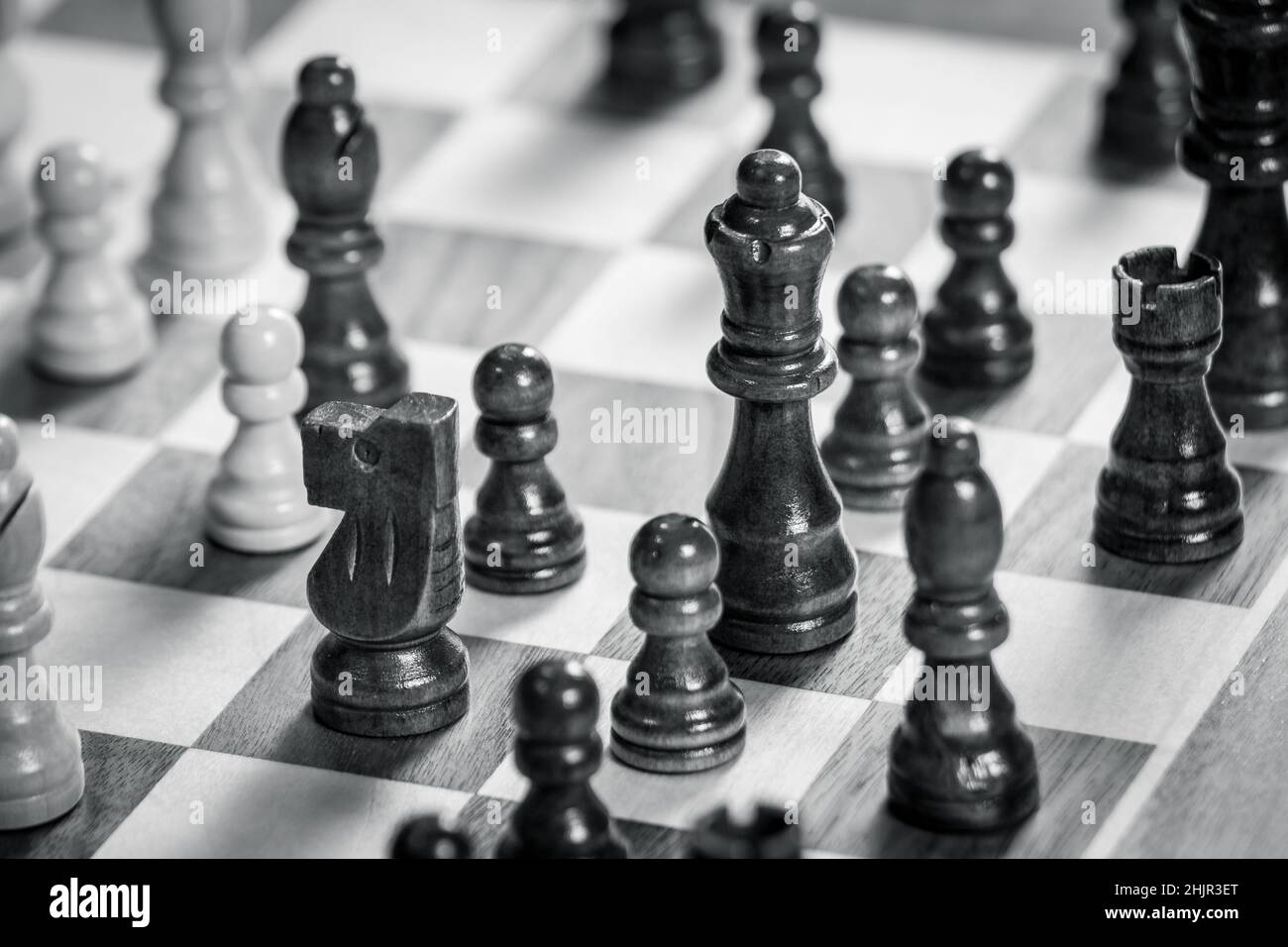 Tablero de ajedrez con juego de ajedrez en blanco y negro. White's Queen y Knight en el enfoque Foto de stock