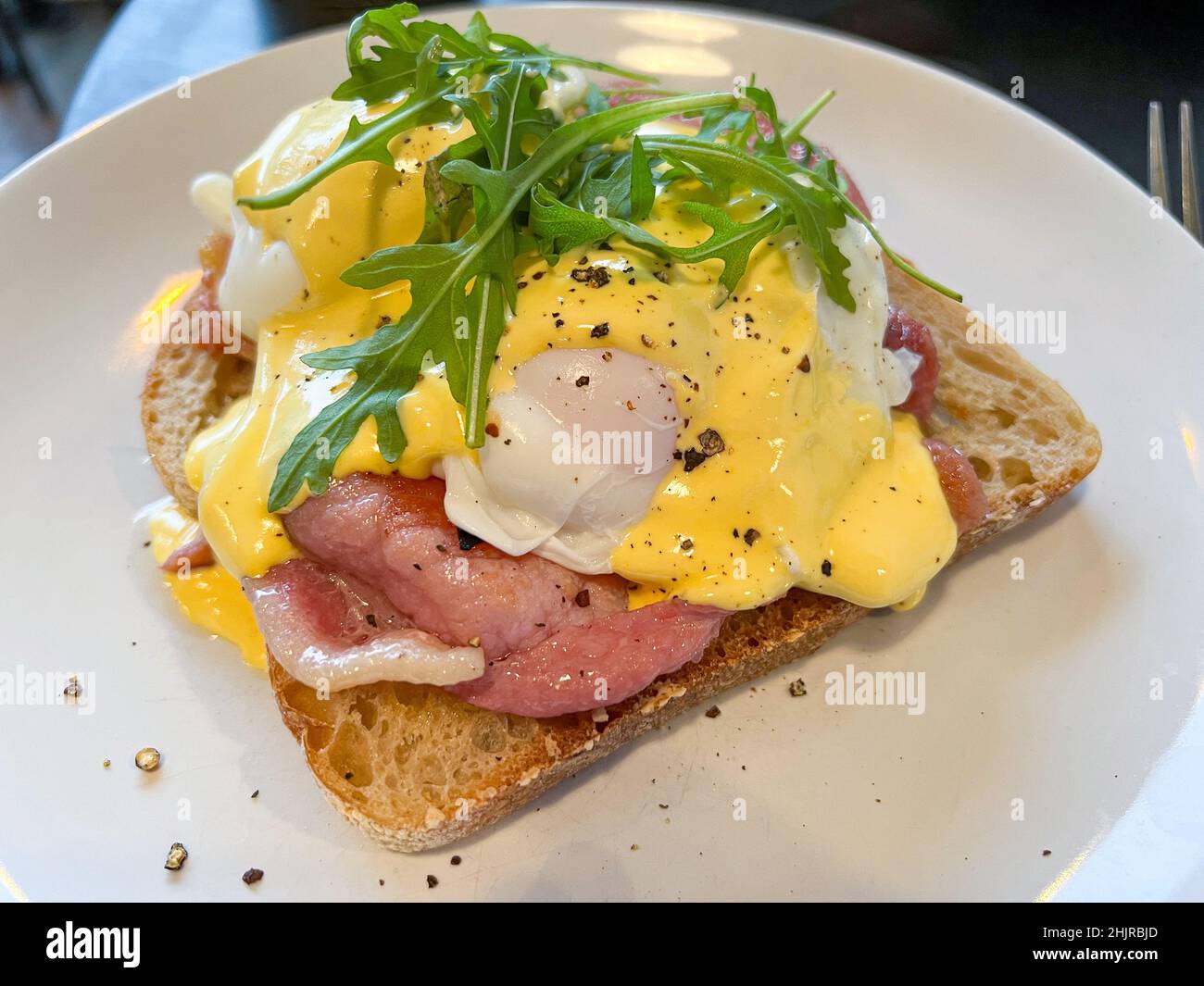 Huevos Benedict con tocino y guarnición sobre pan tostado de masa agria Foto de stock