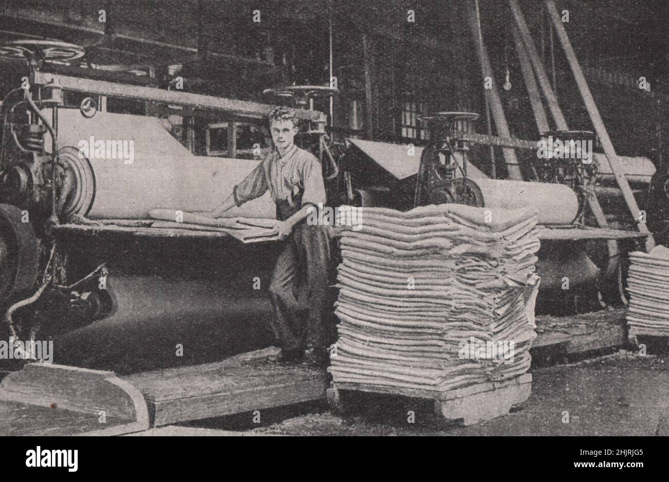 Pasta de madera de Terranova destinada a fábricas de papel inglesas. Canadá (1923) Foto de stock
