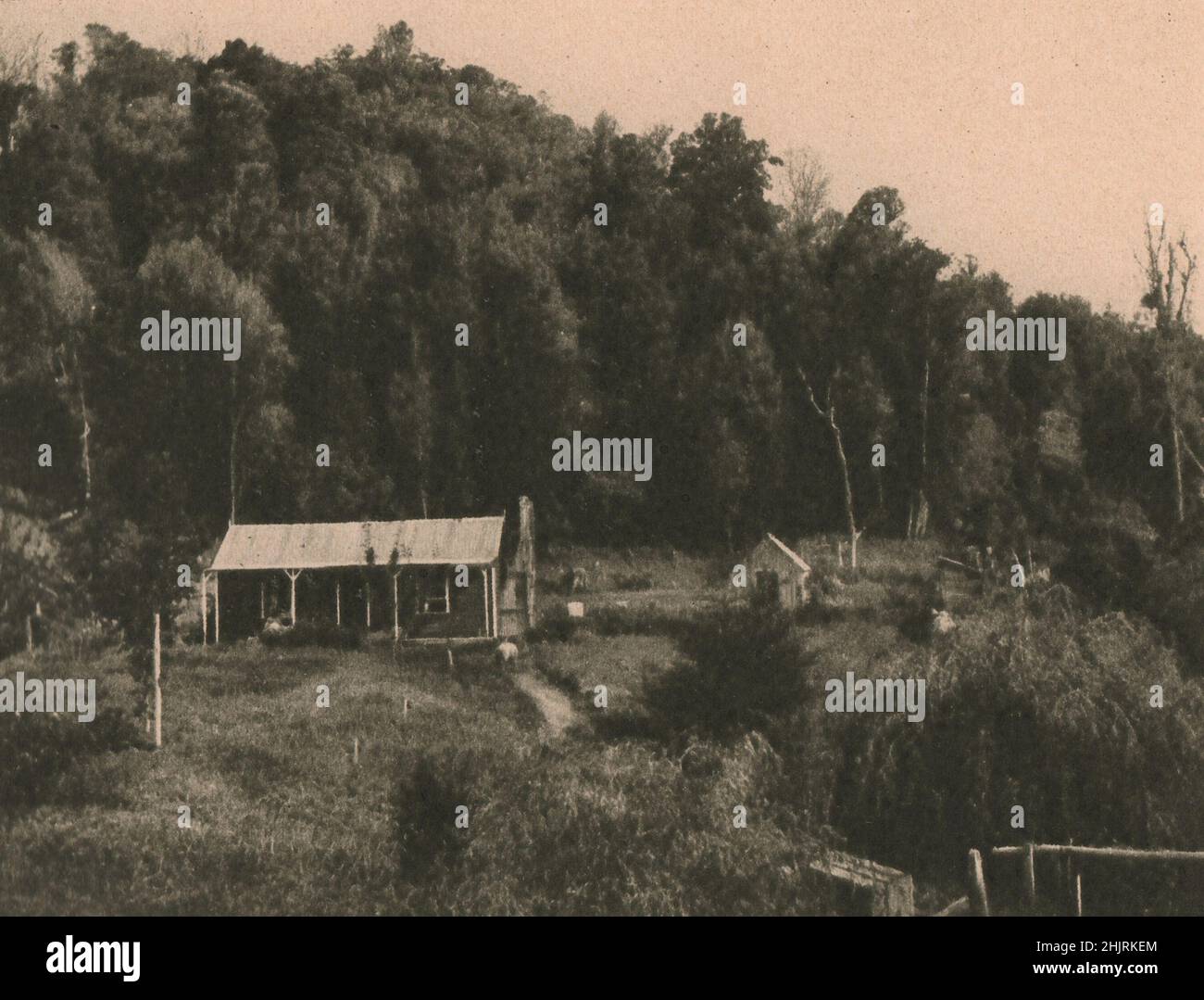 En los hermosos alrededores de un país virgen el colono construye su pequeña casa de madera y se cortan la tierra generosa. Nueva Zelanda (1923) Foto de stock