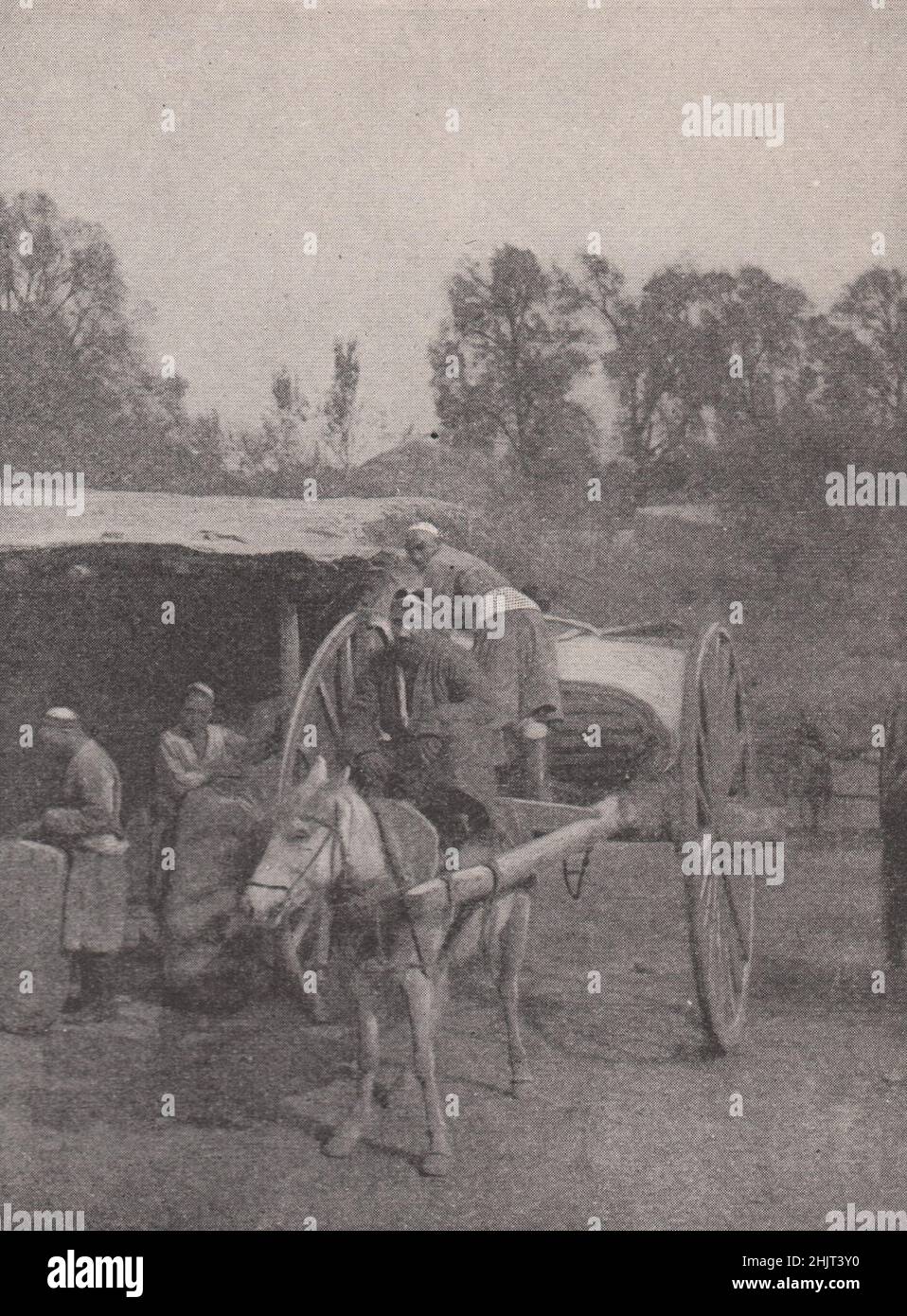Araba, o carro nativo, de Sin-Kiang. Xinjiang. Asia Central (1923) Foto de stock