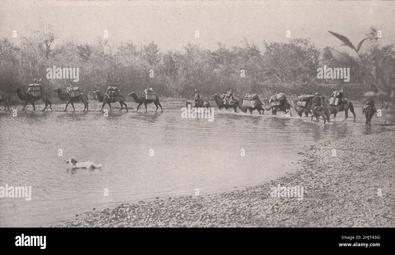 Caravana de Camel que forda una sección poco profunda del río Kran en Zungaria, North Sin-Kiang. Xinjiang. Asia Central (1923) Foto de stock