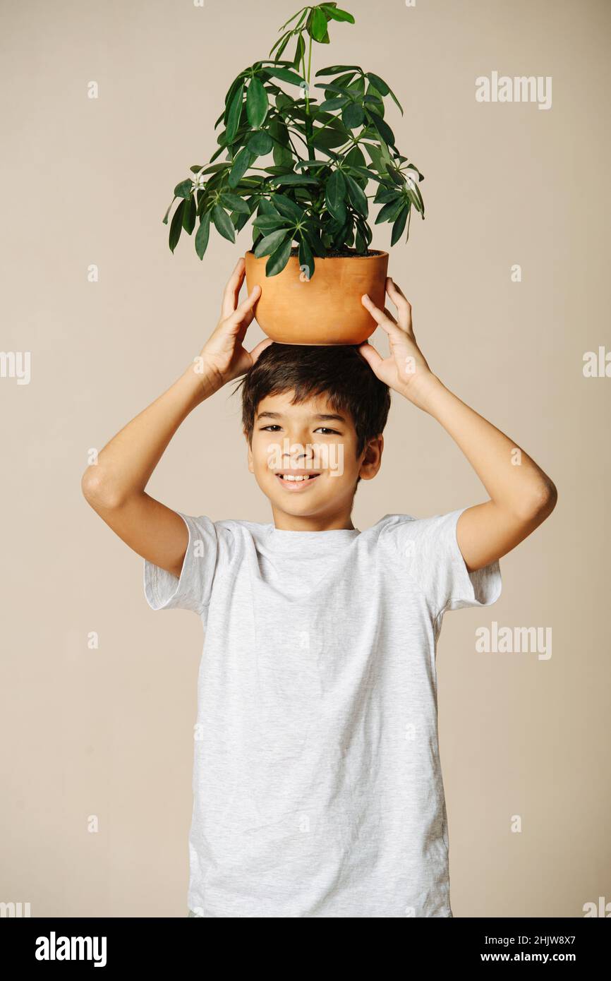 Niño indio vestido casualmente sosteniendo una planta en macetas en su cabeza. Sobre fondo beige. De pie recto, mirando a la cámara. Foto de stock