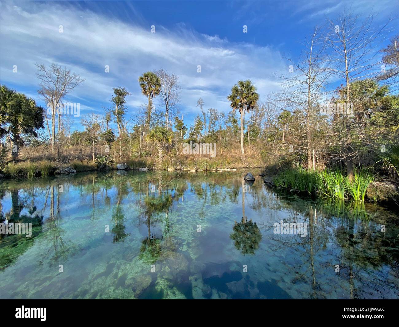 Reflexión sobre el manantial de agua dulce transparente verde esmeralda cerca de la ciudad de Panamá, Florida, Estados Unidos Foto de stock