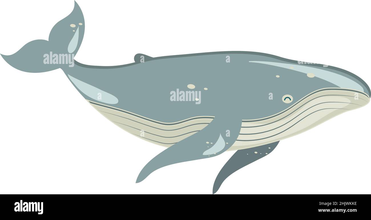 dibujos animados de ballenas grises Imagen Vector de stock - Alamy