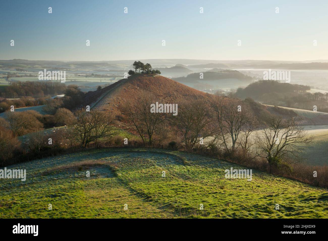 Colmer's Hill y Marshwood Vale en una mañana de invierno. Dorset, Reino Unido. Foto de stock