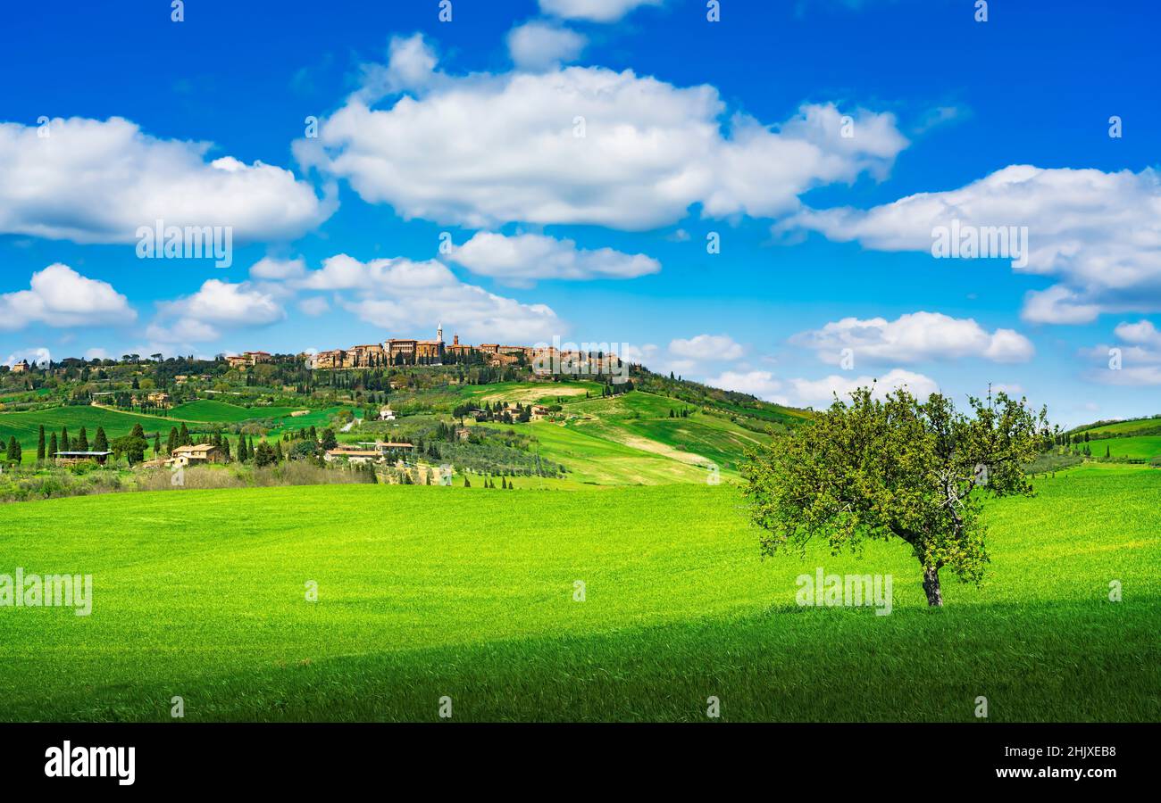 Pienza pueblo medieval horizonte y un árbol. Paisaje primaveral. Siena, Val d'Orcia, Toscana, Italia, Europa Foto de stock